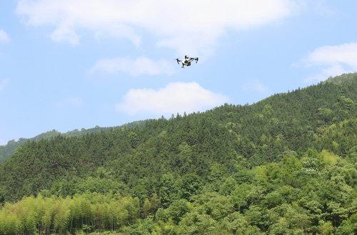 民乐县林业有害生物现状及防控措施