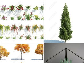 几十款精致植物树木花草3dmax软件模型设计模型下载