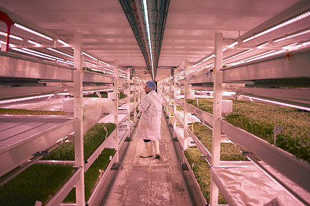 蔬菜工厂图片- 蔬菜工厂素材- 蔬菜工厂模板下载