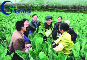 保持先进性 建设新农村 全省农村先进性教育活动学习动员阶段掠影