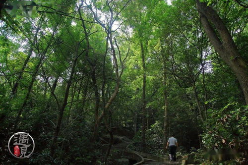 大坝云石岩
