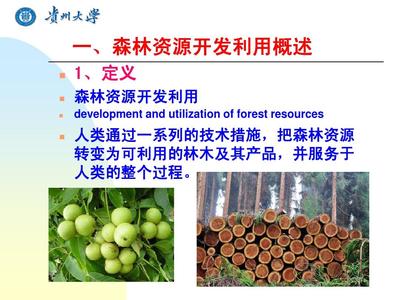 第五章 森林资源开发利用PPT