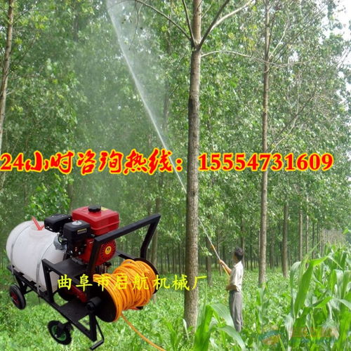 小型手推式打药机 园林消毒机 农田果树专用打药机价格