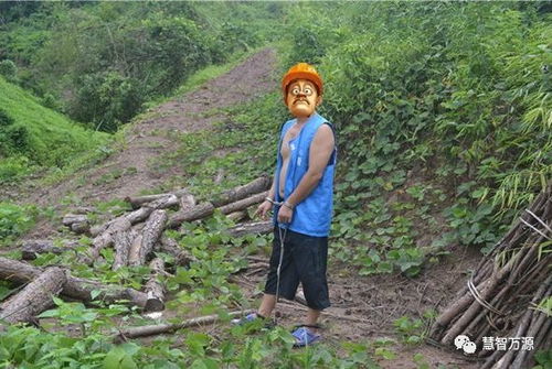 万源石塘镇一村民滥伐林木,承担刑事责任后还要