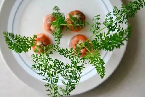 冬日蔬菜巧变盆栽，点缀居室添生机