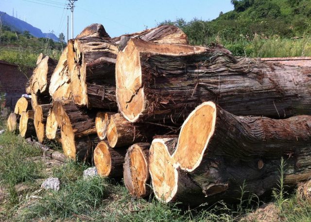 中澳贸易矛盾激化，澳大利亚商家暂停蔬菜对华出口